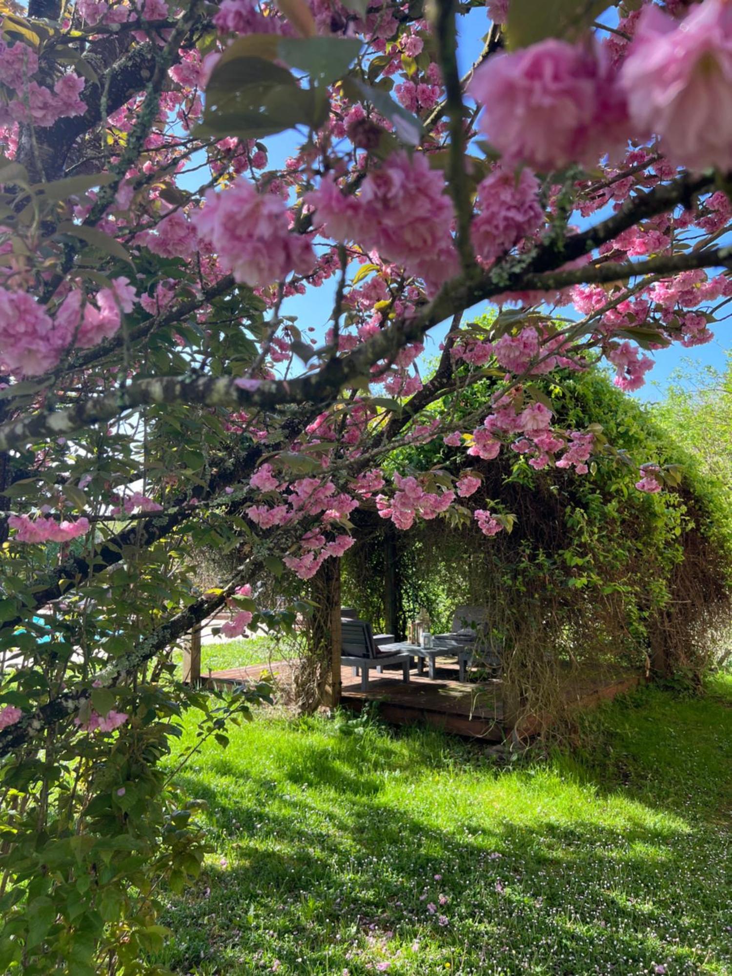 La Colline De Tilleul - Les Deux Puits - Cosy Cottage With Swimming Pool Near Aubeterre Saint-Romain  Eksteriør billede